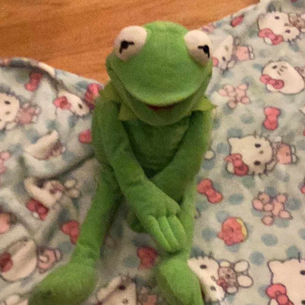 Green Plush Frog Toy puppet for kids